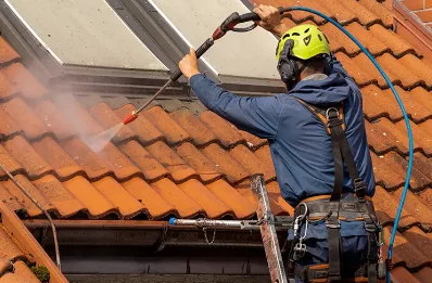 Démoussage et hydrofuge de toiture à Francheleins